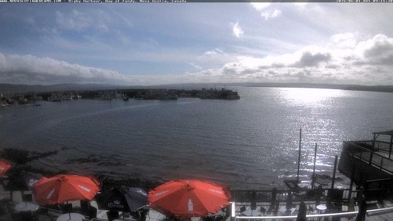 Digby Harbour