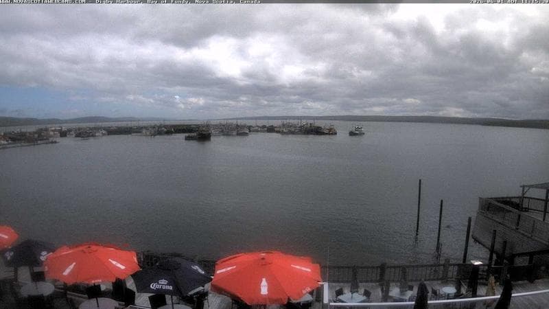 Digby Harbour