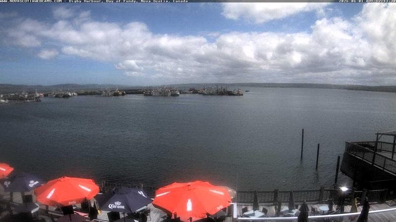 Digby Harbour