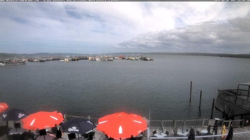 Digby Harbour