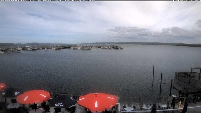 Digby Harbour