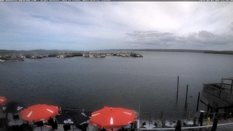 Digby Harbour