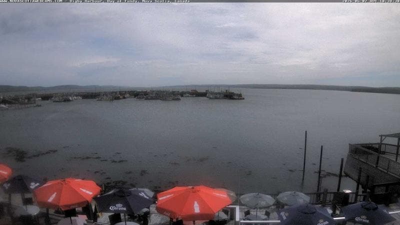 Digby Harbour