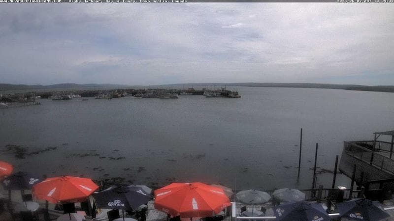 Digby Harbour