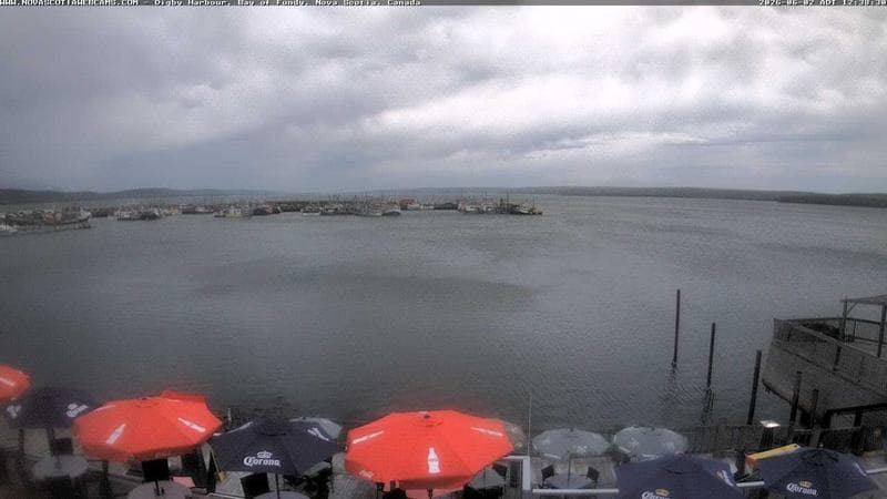 Digby Harbour