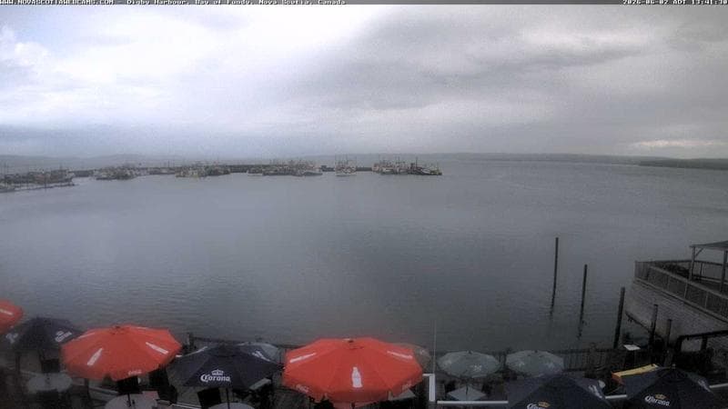 Digby Harbour