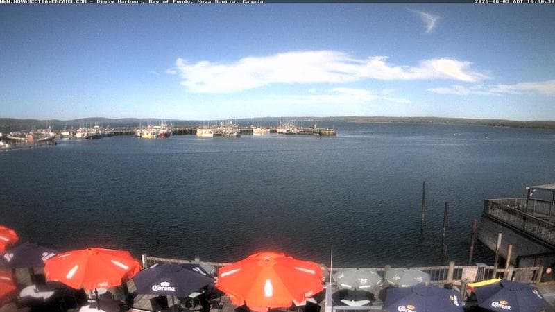 Digby Harbour