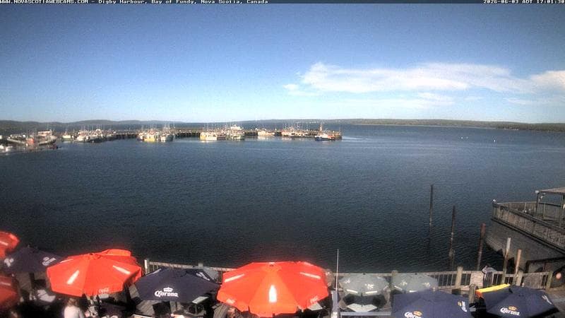Digby Harbour