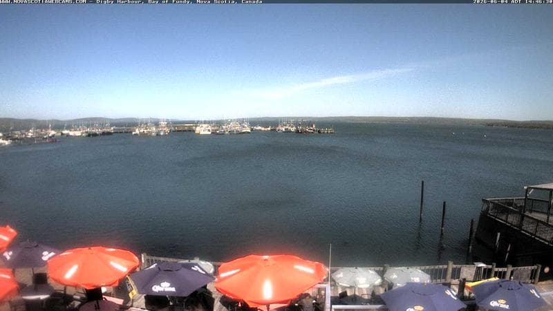 Digby Harbour