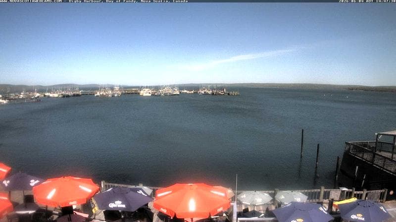 Digby Harbour
