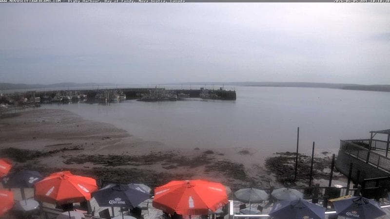 Digby Harbour