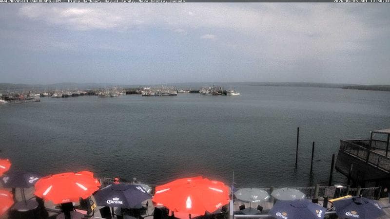 Digby Harbour