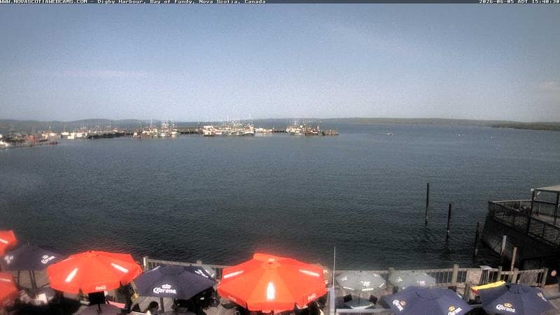 Digby Harbour