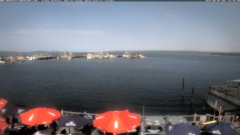 Digby Harbour