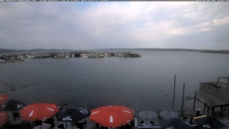 Digby Harbour