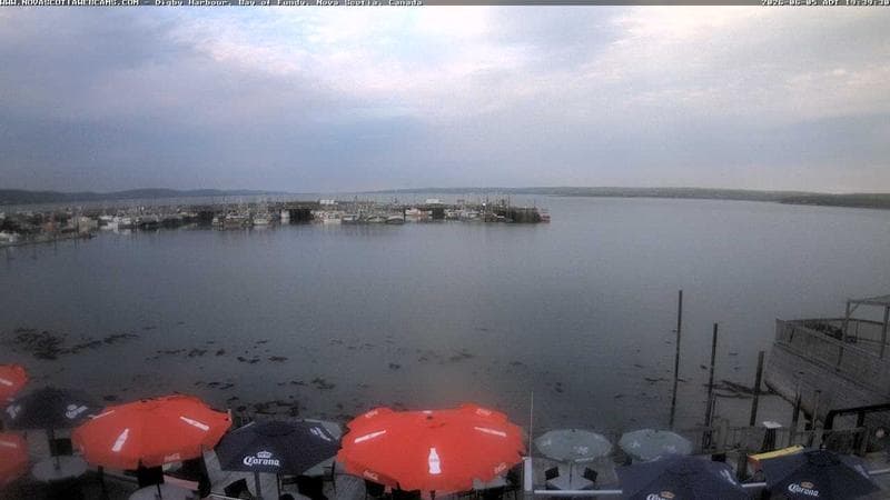Digby Harbour