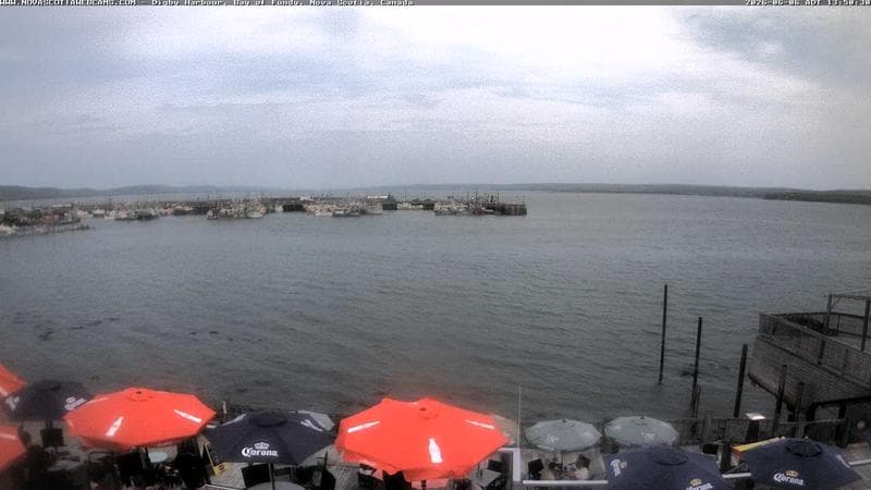 Digby Harbour