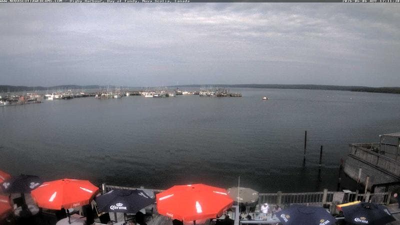 Digby Harbour