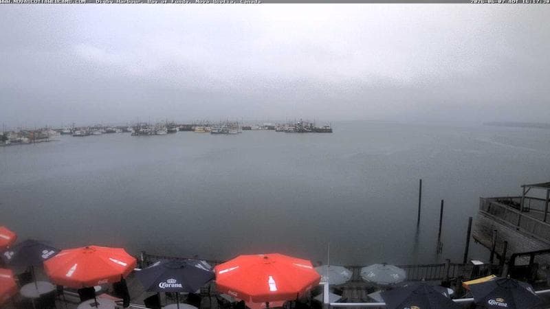 Digby Harbour