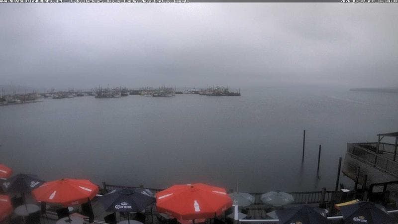 Digby Harbour