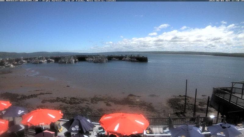 Digby Harbour