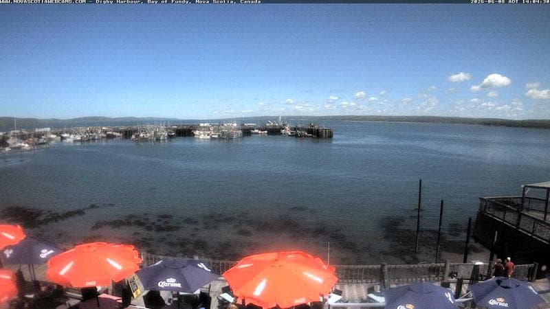 Digby Harbour
