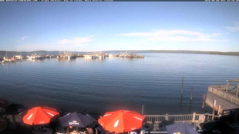 Digby Harbour