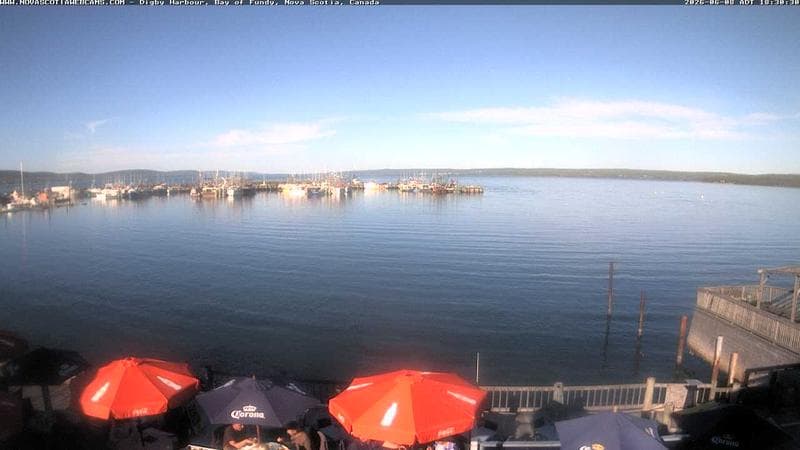 Digby Harbour