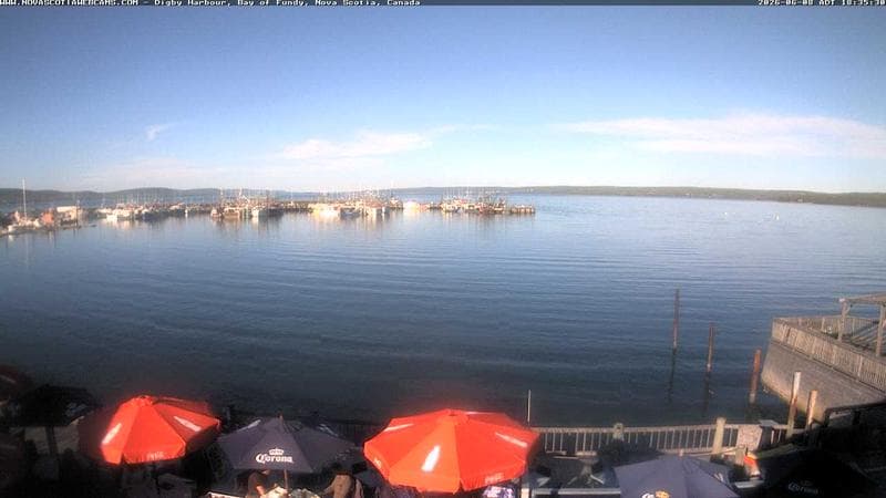 Digby Harbour