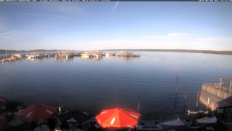 Digby Harbour