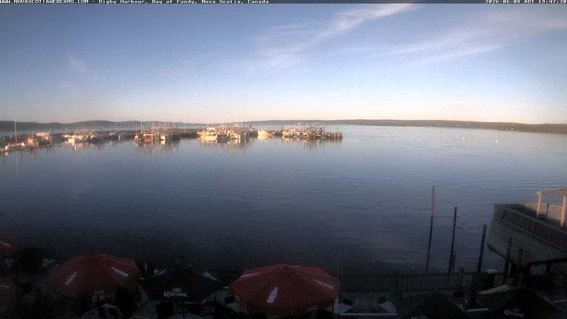 Digby Harbour