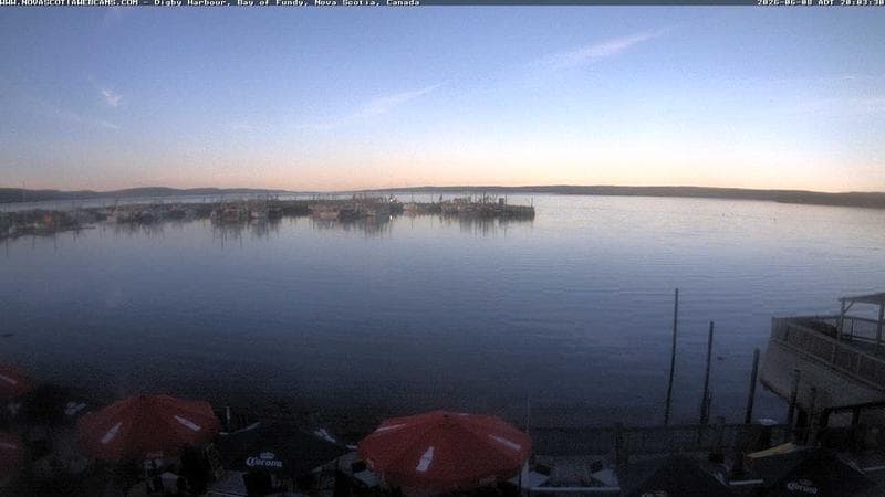 Digby Harbour