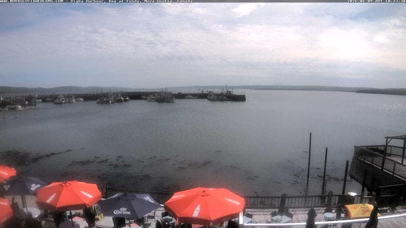 Digby Harbour