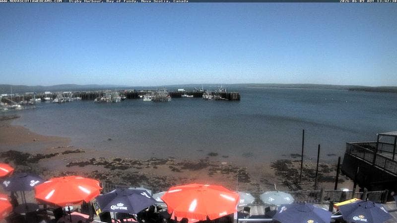 Digby Harbour