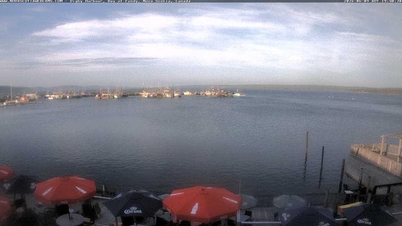 Digby Harbour