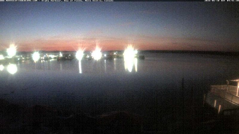 Digby Harbour