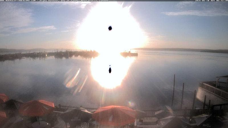 Digby Harbour