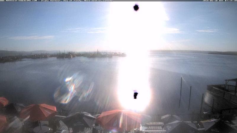 Digby Harbour