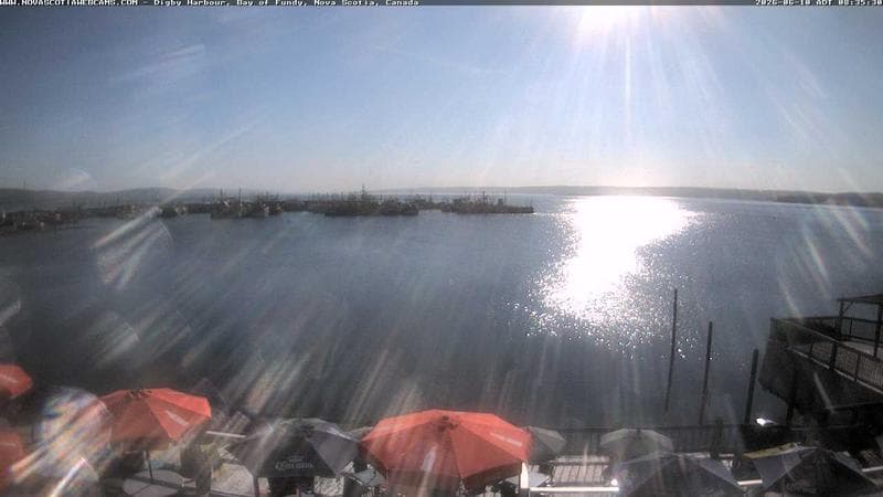 Digby Harbour