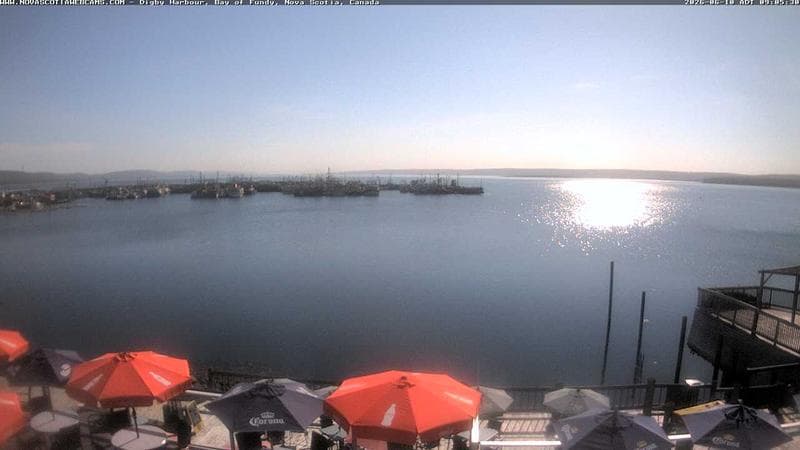 Digby Harbour