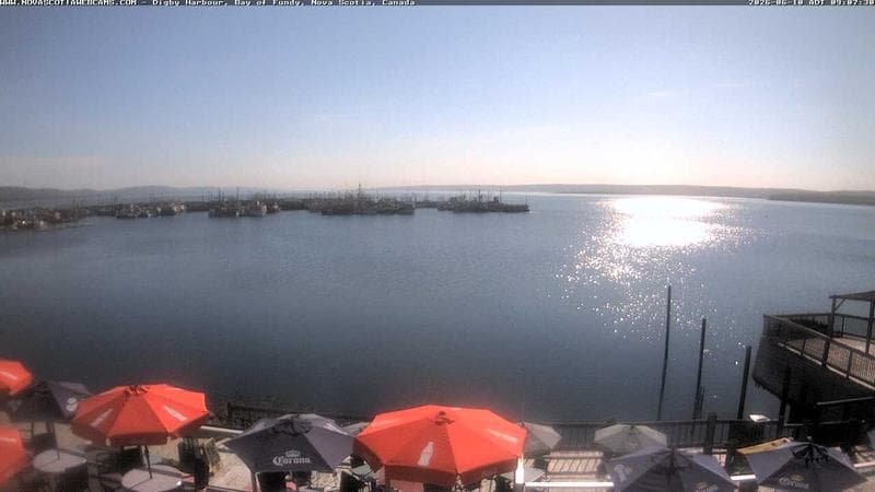 Digby Harbour