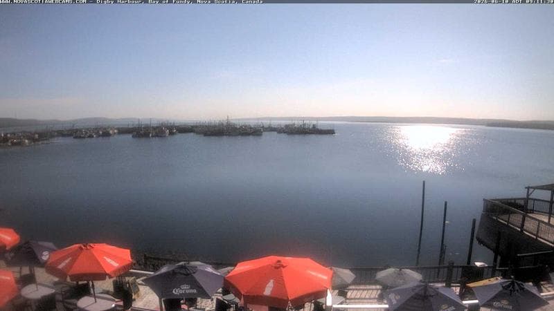 Digby Harbour