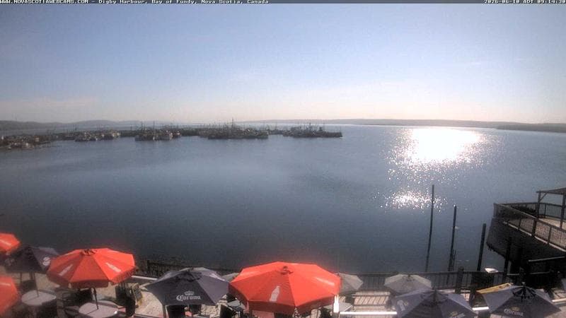 Digby Harbour