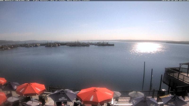 Digby Harbour