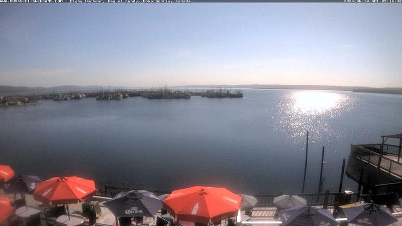 Digby Harbour
