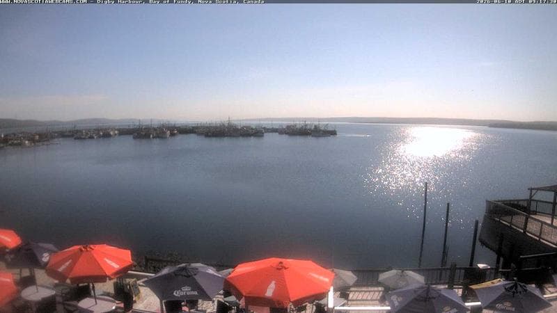 Digby Harbour