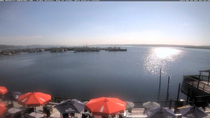 Digby Harbour