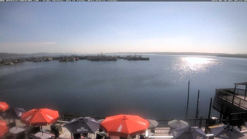 Digby Harbour