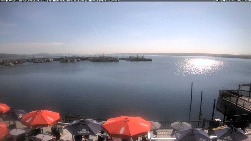 Digby Harbour