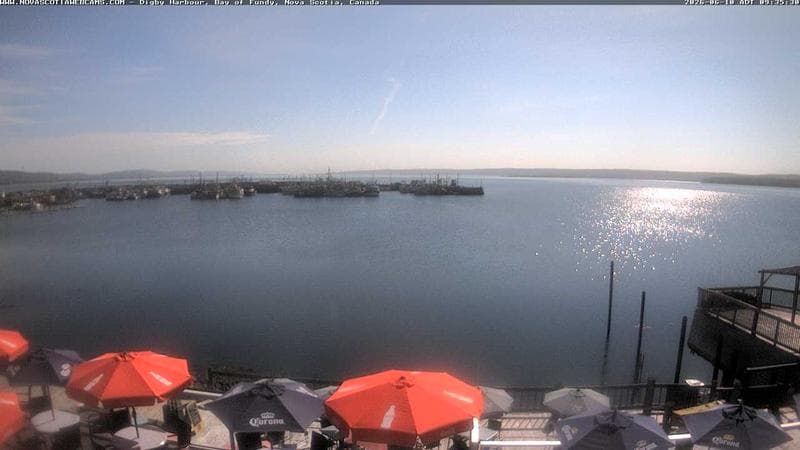 Digby Harbour
